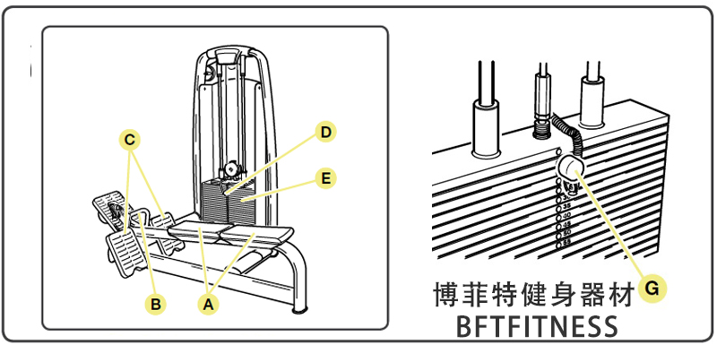 坐姿划船麻豆性爱网站