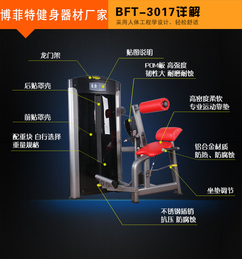 后背伸展麻豆性爱网站